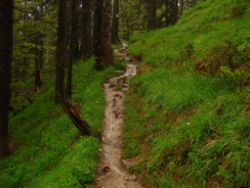 2013-06-01_Regina-F-Rau_Staffelalm_Hochwasser (134).JPG